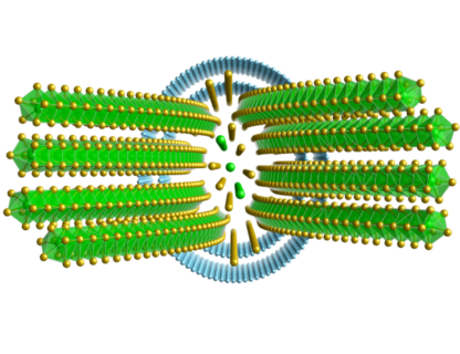 Zum Artikel "Scientists Unveil a New Window into Nanoscale Worlds: Revealing the 3D Atomic Structures of Complex Materials"