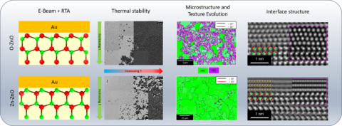 Zum Artikel "IMN/CENEM researchers unravel the influence of substrate polarity on metal thin film growth characteristics through correlation of electron microscopies, X-ray diffraction and density functional theory"